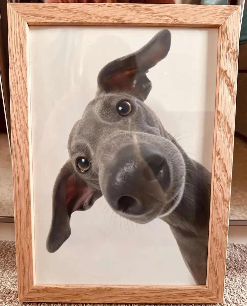 Customer portrait photograph